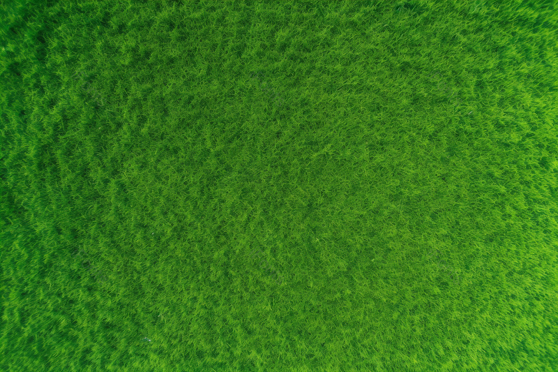 广告设计素材元素绿草地背景清新小草,高清,摄影图,摄影图片,图片大全,摄影图免费下载